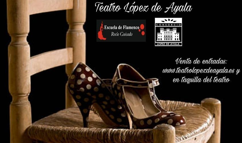 Protegido: Escuela de Flamenco Rocío Guisado